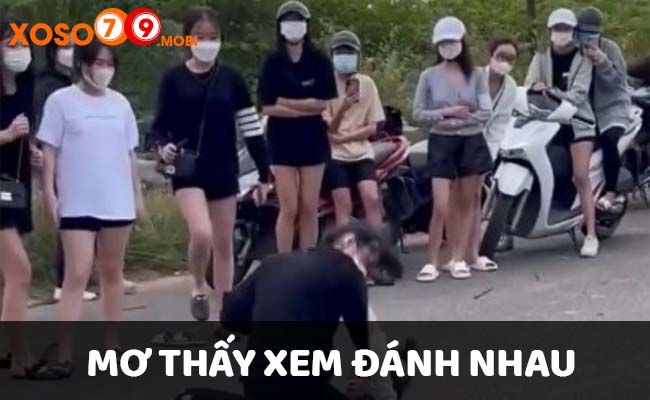 Mộng thấy đi xa xem người khác đánh nhau 